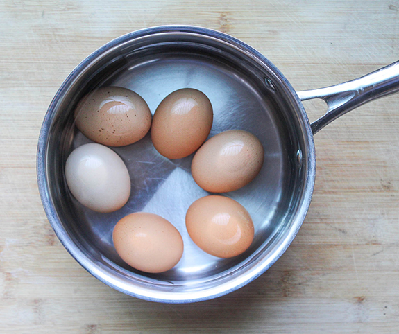 Eggs in a pan of water