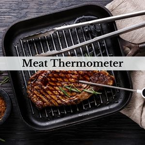 a photo of a meat thermometer