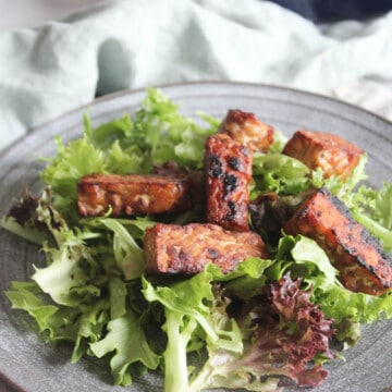a picture of tempeh on a plate with lettuce