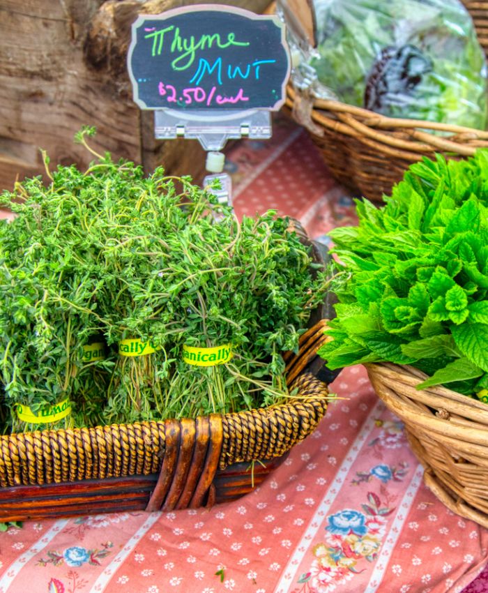 Fresh thyme in a basket with mint