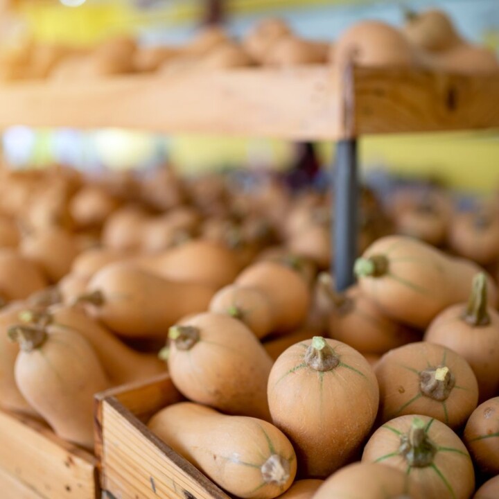 What Does Butternut Squash Taste Like? - Simple And Savory