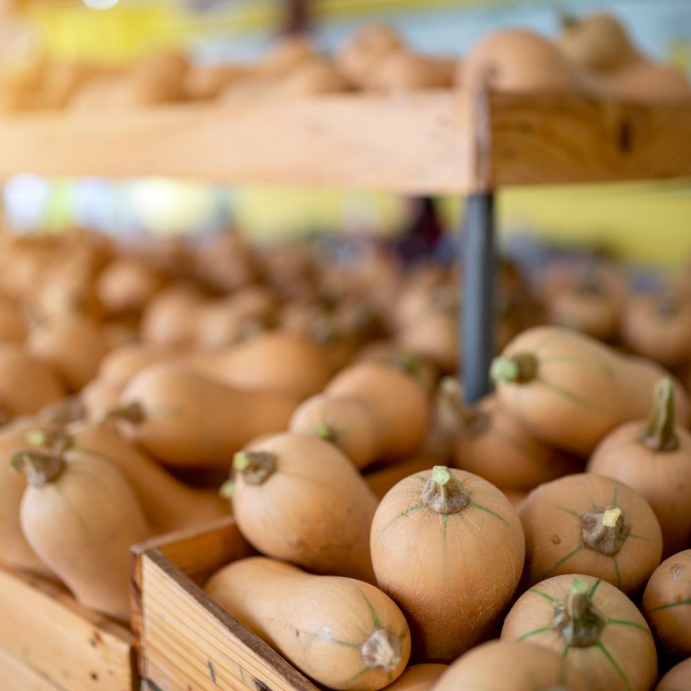 butternut squash in baskets in a market