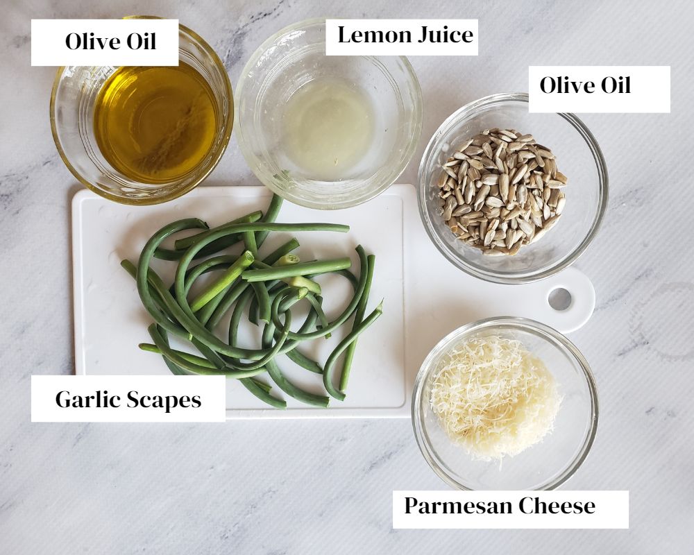 a picture of the ingredients needed to make garlic scape pesto
