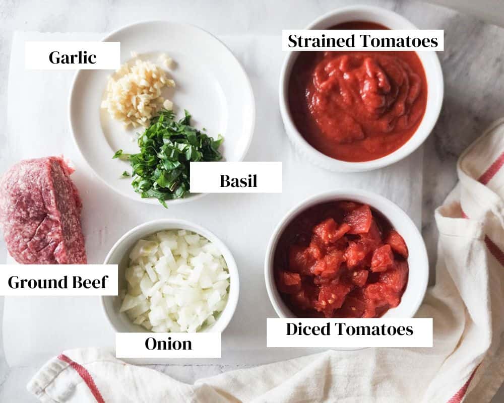 a picture of the ingredients needed to make simple meat sauce