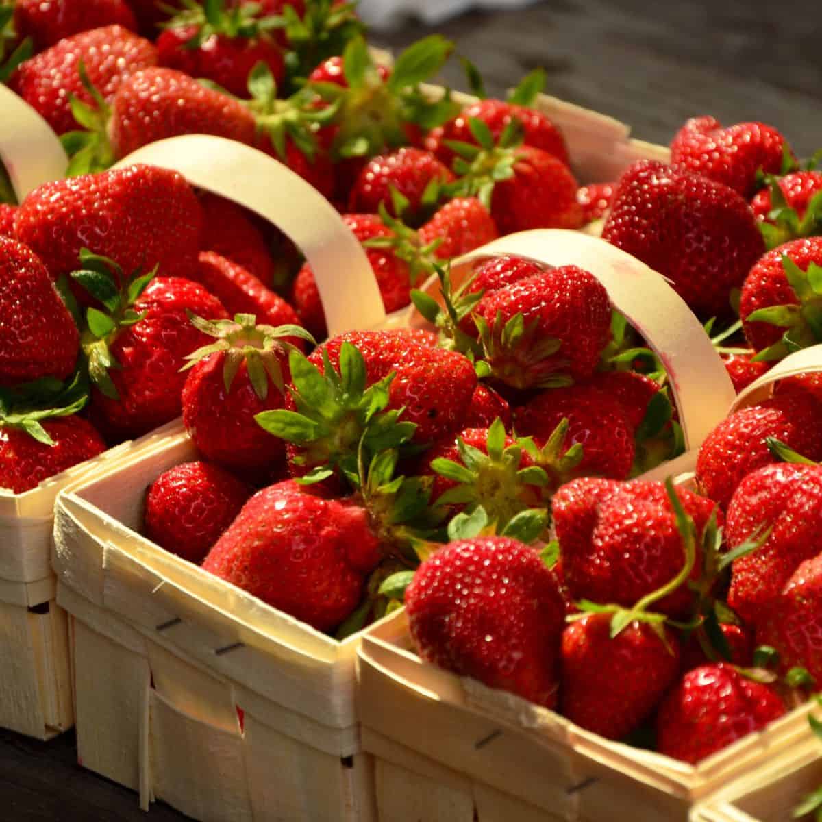 strawberries in pint baskets