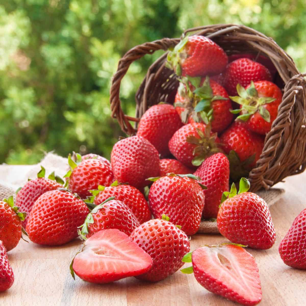 strawberries pouring out of a basket onto a board