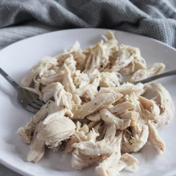 a picture of shredded chicken on a white plate