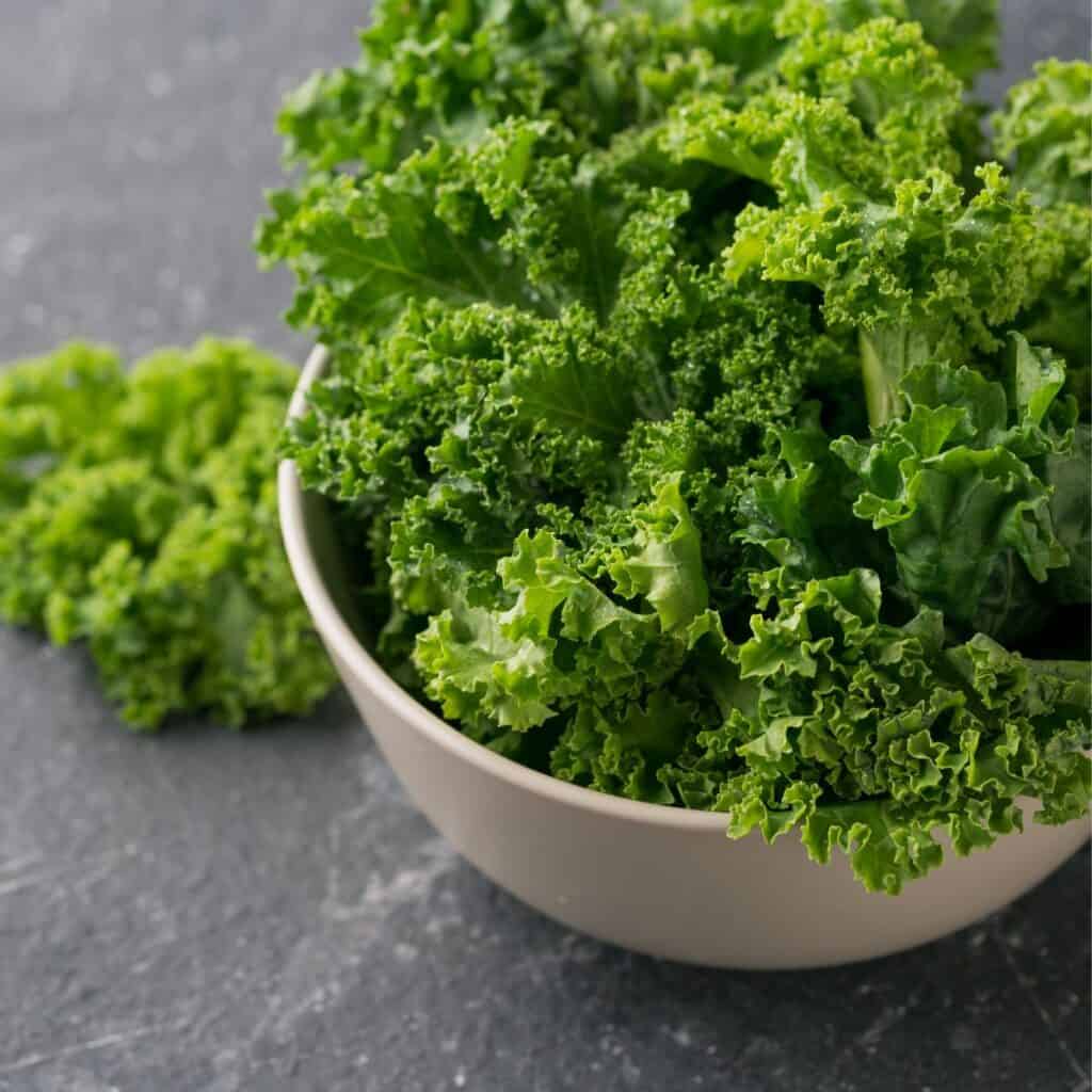 What Does Kale Taste Like? Plus Tasty Kale Recipes Simple And Savory