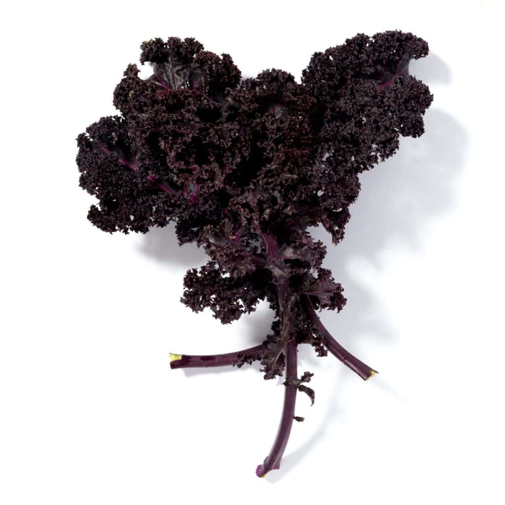 What Does Kale Taste Like? Plus Tasty Kale Recipes Simple And Savory