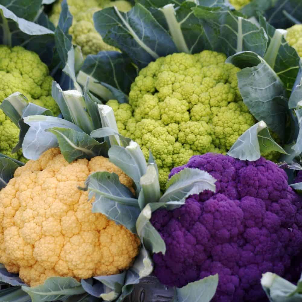 A picture to yellow, green and purple cauliflower