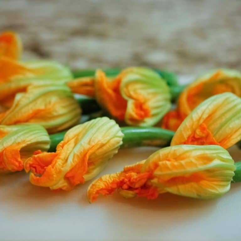 What Does Zucchini Taste Like? A Guide and Tips for Best Flavor ...