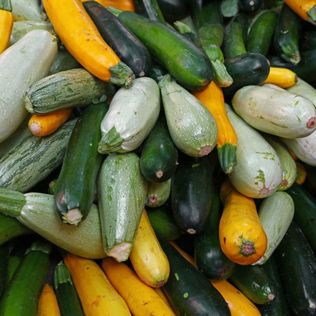 What Does Zucchini Taste Like? A Guide and Tips for Best Flavor