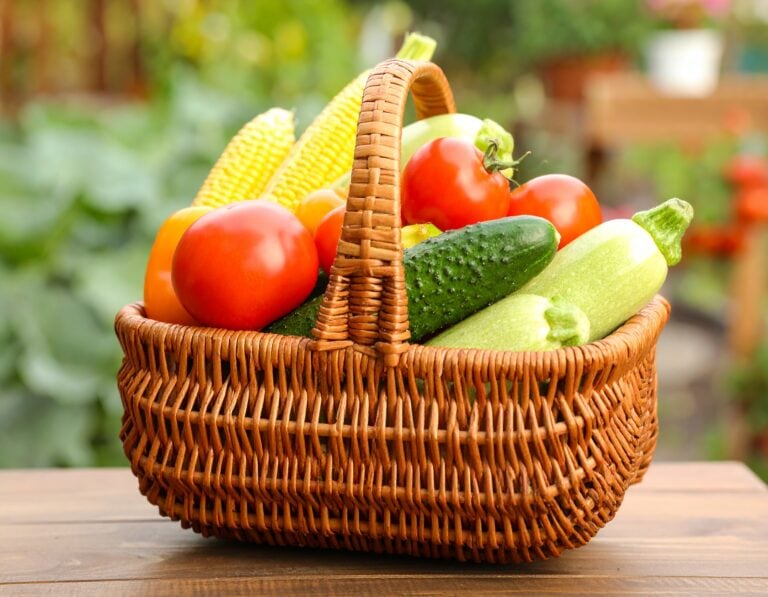 a picture of fresh produce tomatoes, cucumbers, corn in a baseket